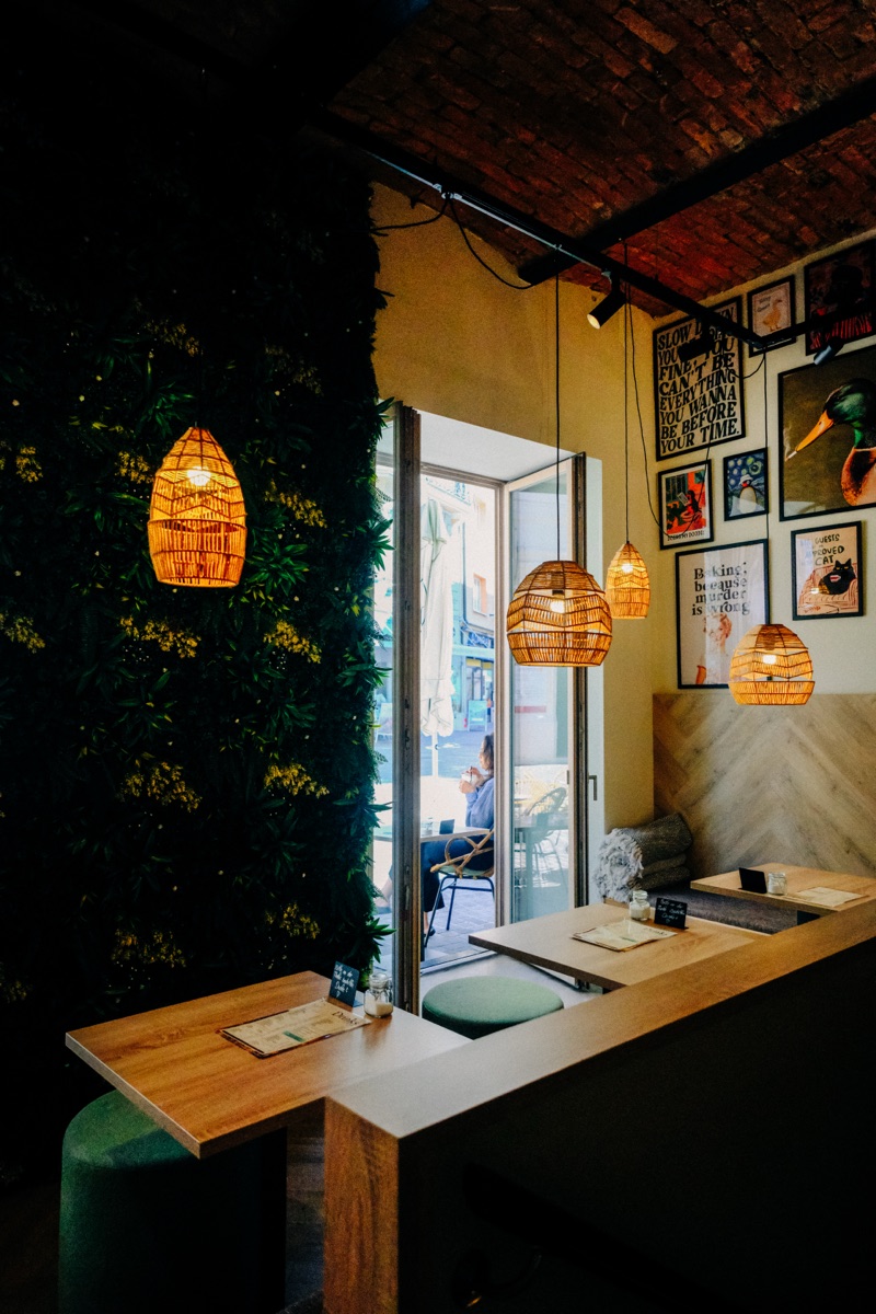 Bar with hanging plants